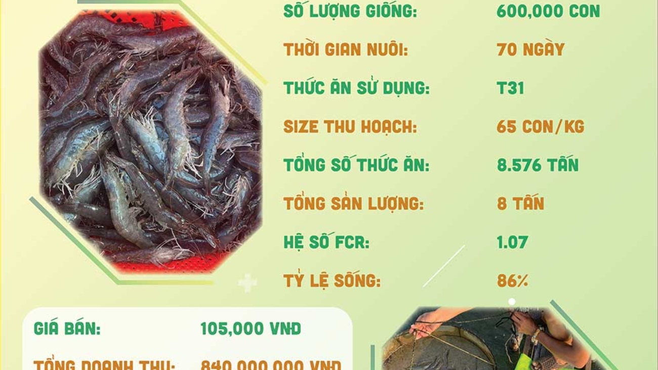 hieuquanuoitrong-anhdanh