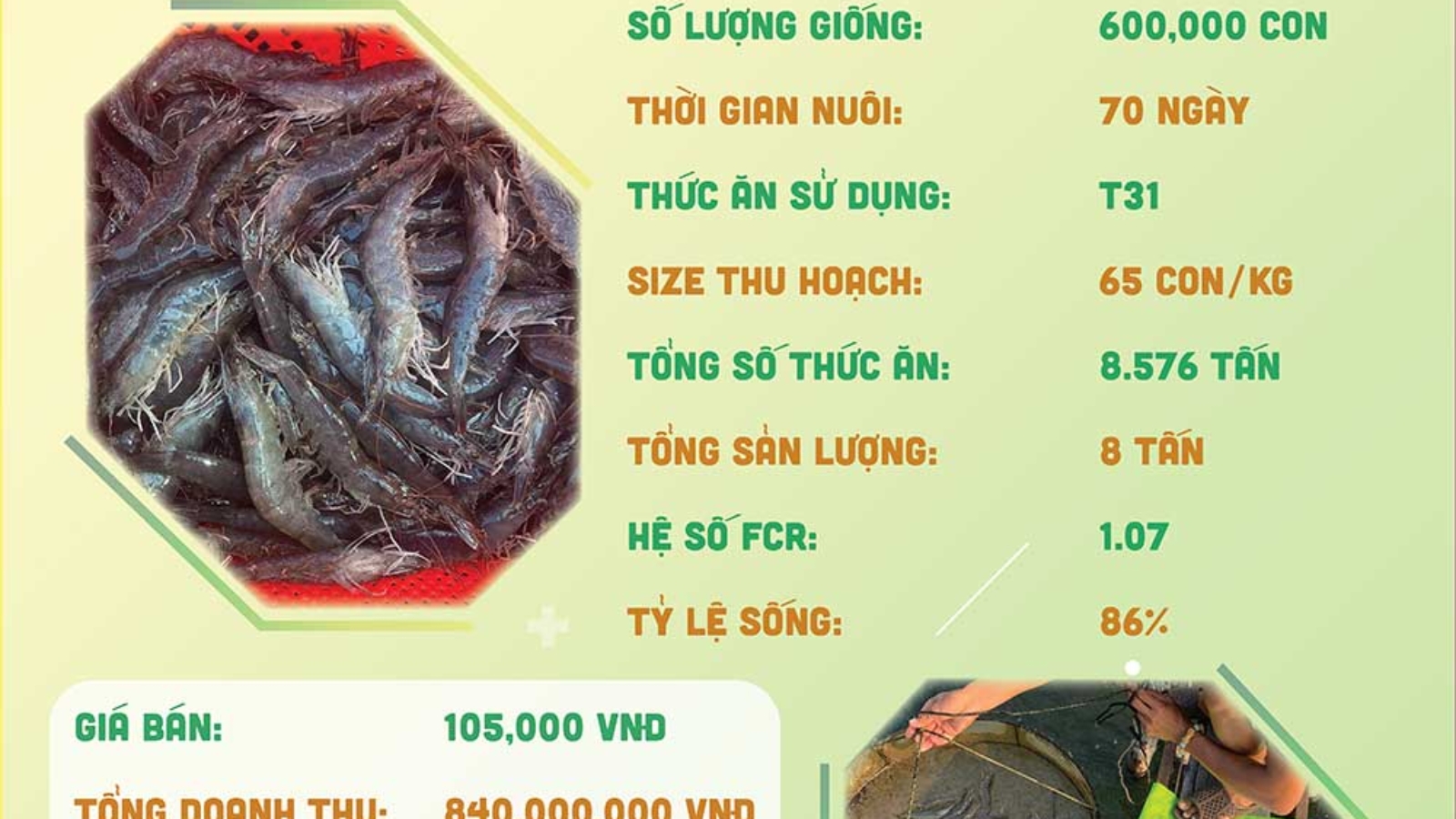 hieuquanuoitrong-anhdanh