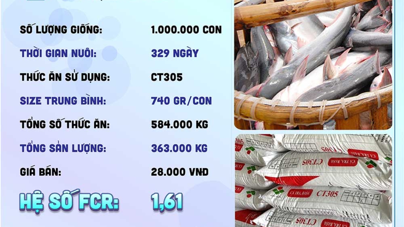 hieuquanuoitrong-anhkiet