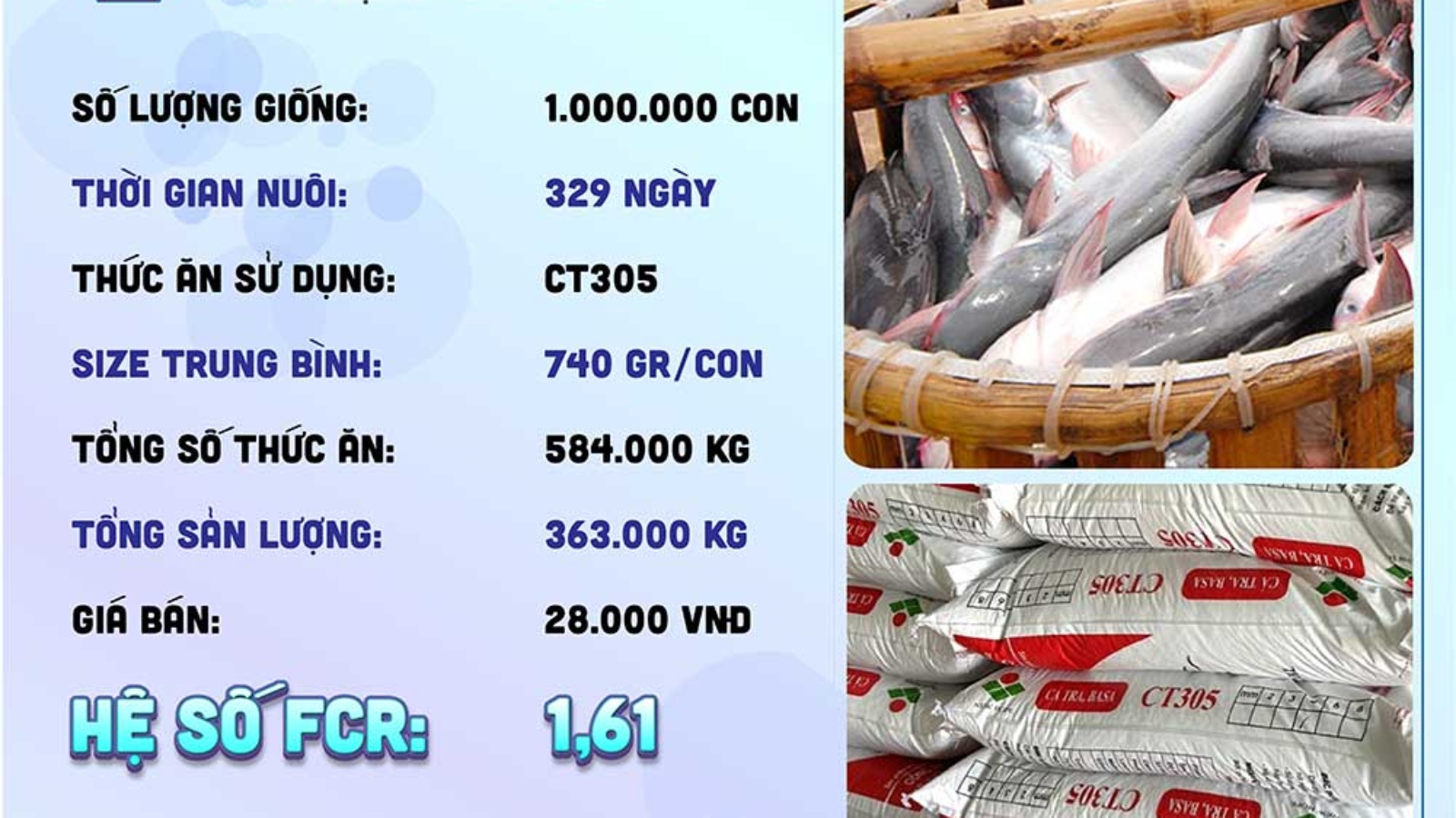 hieuquanuoitrong-anhkiet