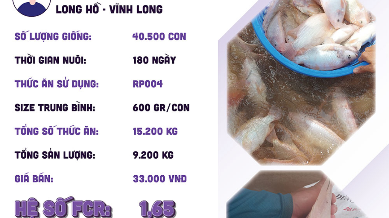 hieuquanuoitrong-anhlinh