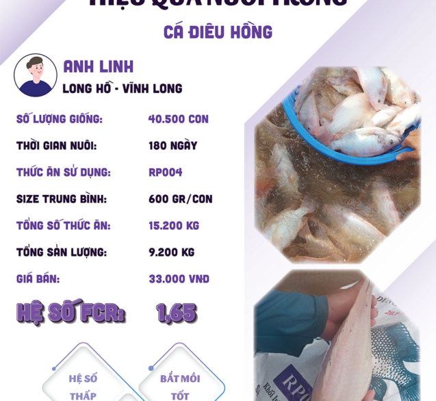 hieuquanuoitrong-anhlinh