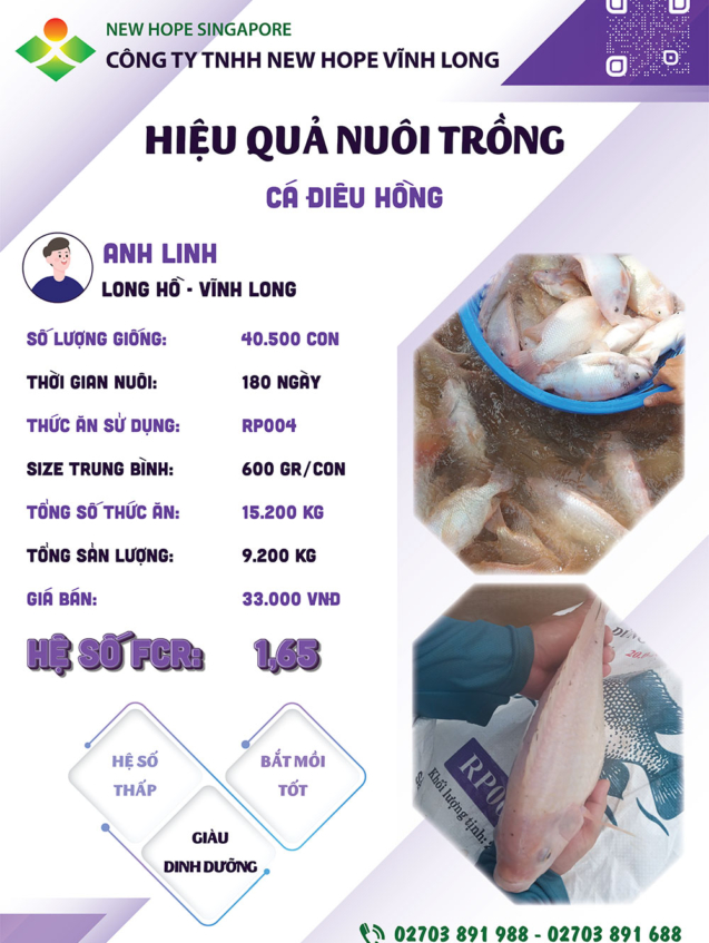 hieuquanuoitrong-anhlinh