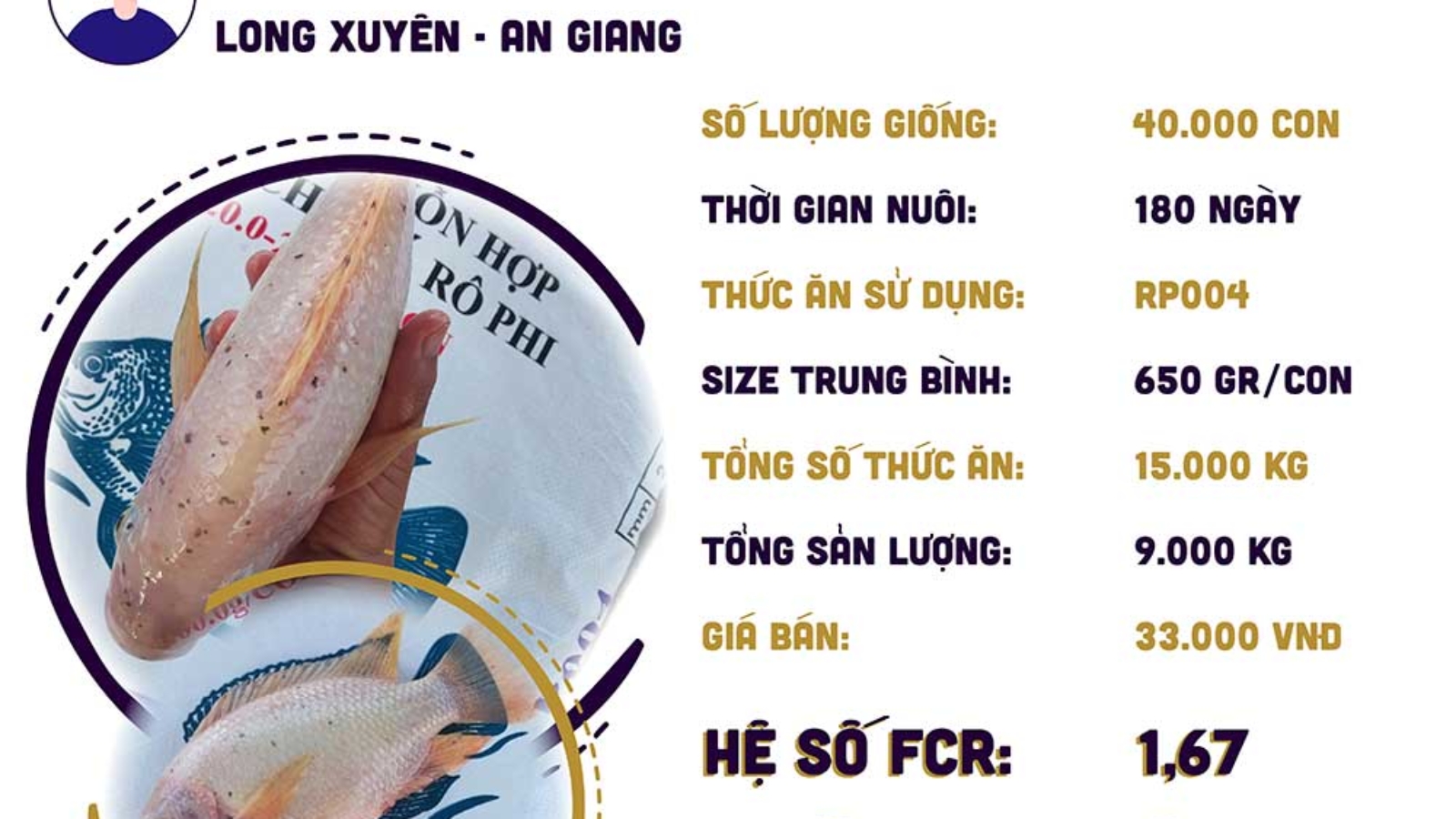 hieuquanuoitrong-anhlong