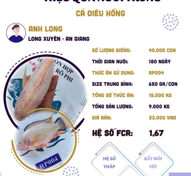 hieuquanuoitrong-anhlong