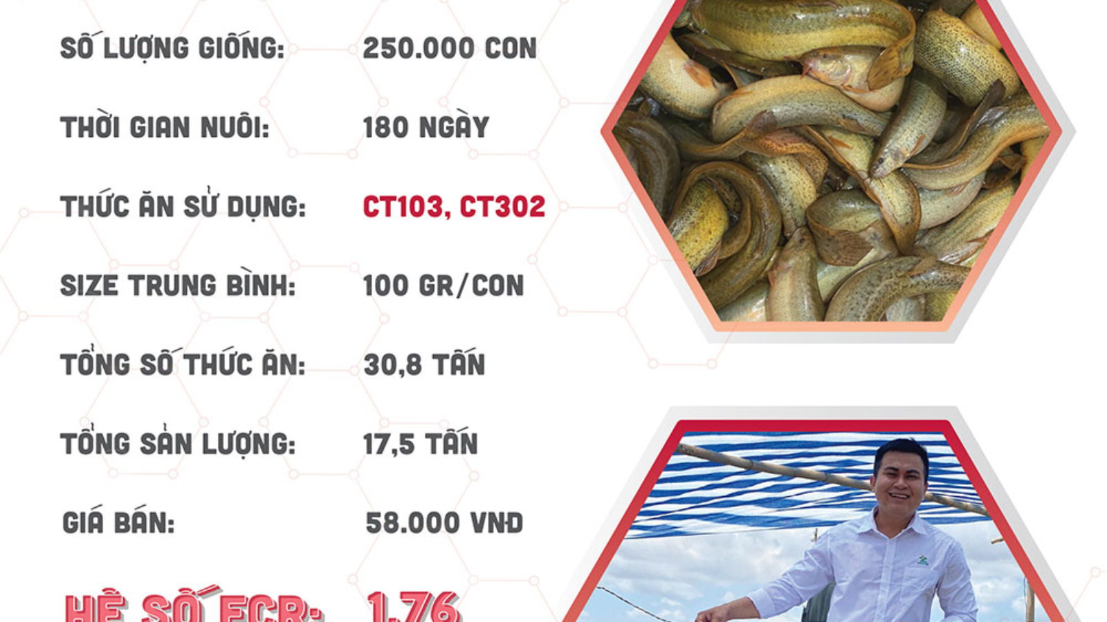 hieuquanuoitrong-anhmuoi