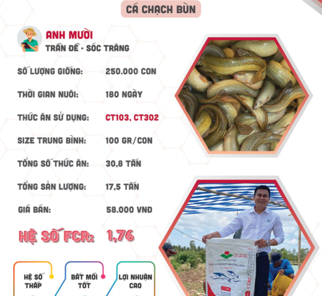 hieuquanuoitrong-anhmuoi