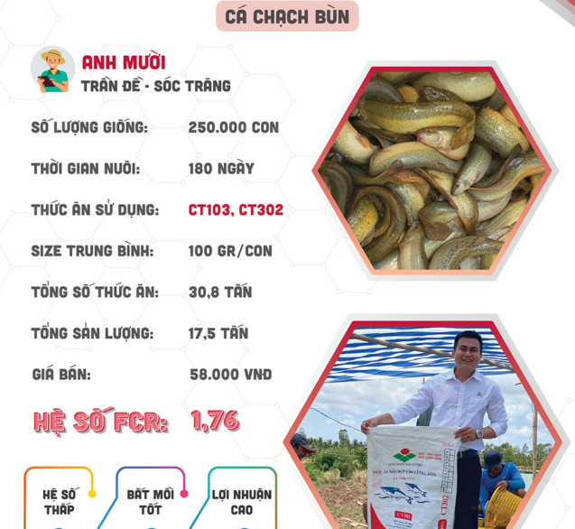 hieuquanuoitrong-anhmuoi