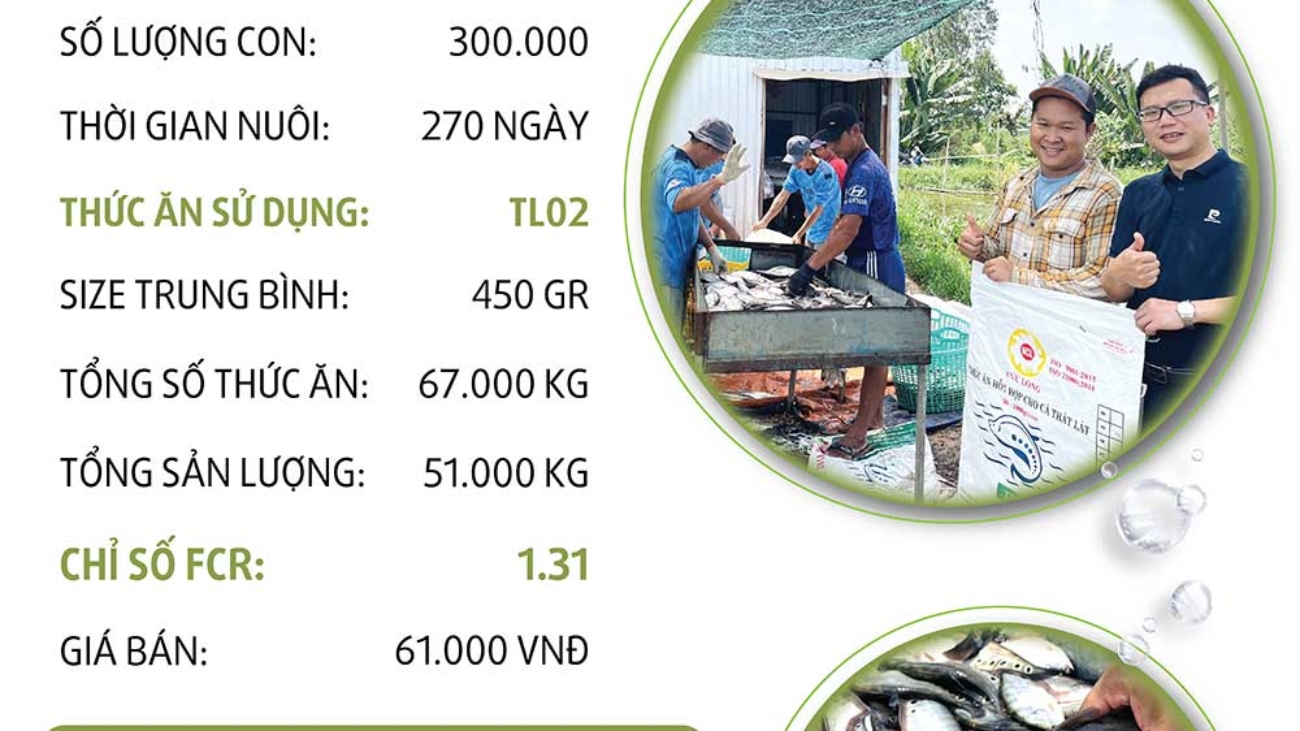 hieuquanuoitrong-anhquynh