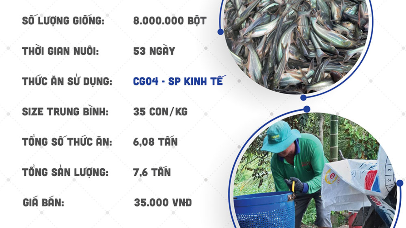 hieuquanuoitrong-anhthay