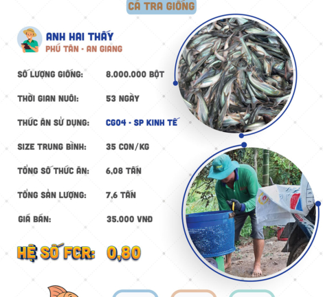 hieuquanuoitrong-anhthay