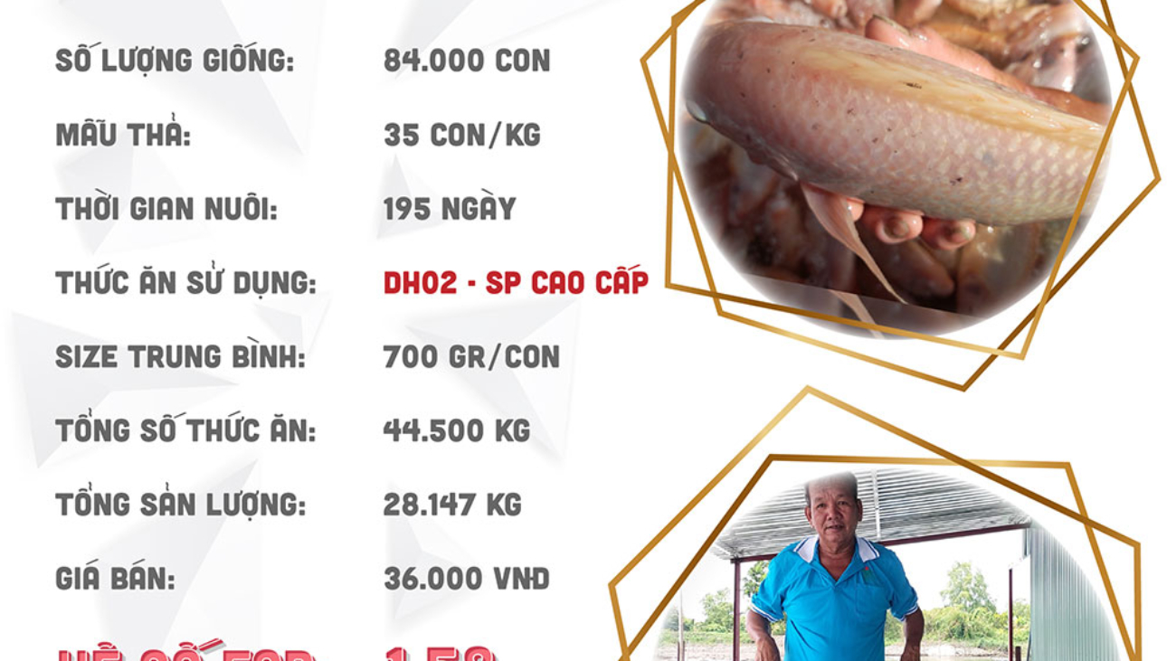 hieuquanuoitrong-chubay