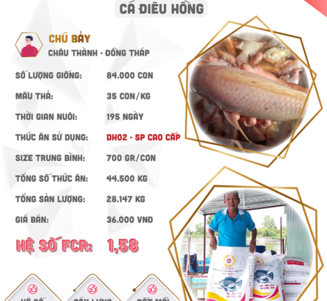 hieuquanuoitrong-chubay