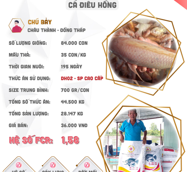 hieuquanuoitrong-chubay