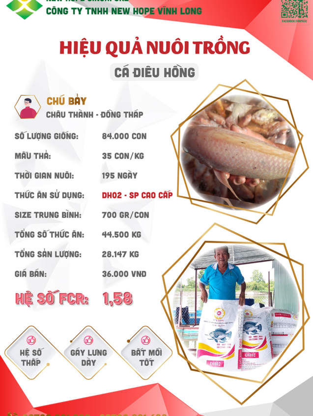 hieuquanuoitrong-chubay
