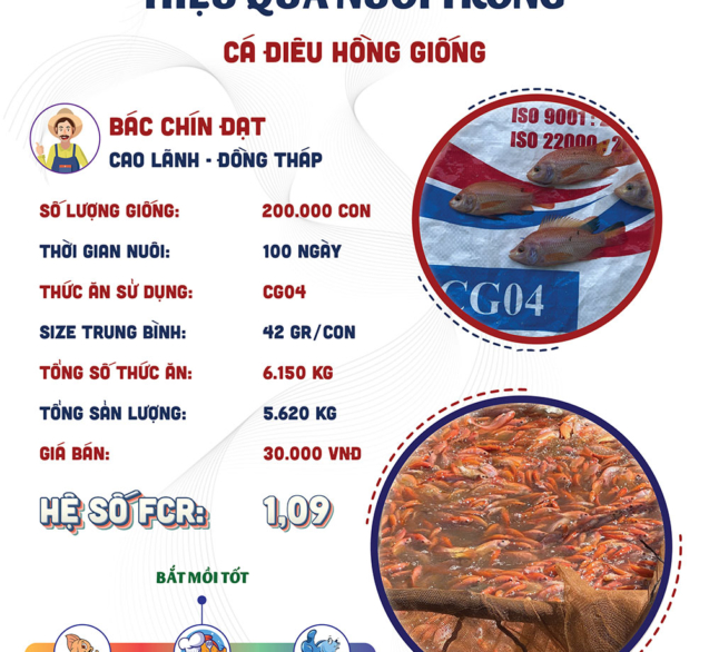 hieuquanuoitrong-chudat