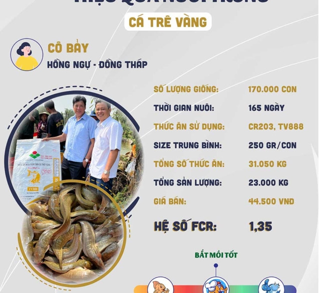 hieuquanuoitrong-cobay