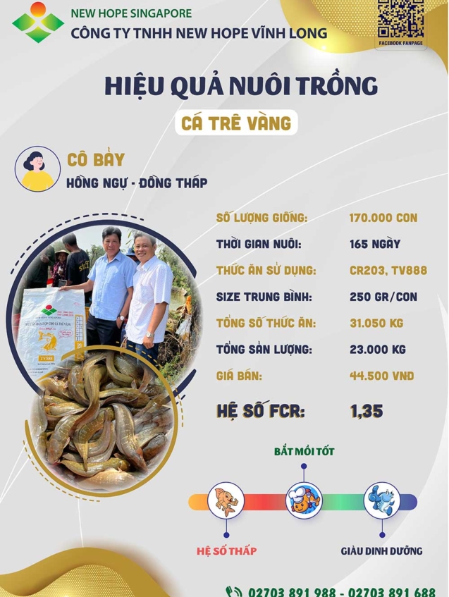 hieuquanuoitrong-cobay