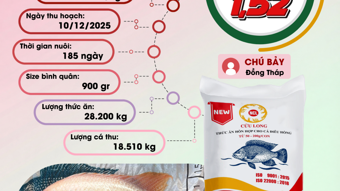 POP FB32 - chu 7 - 10.12.25