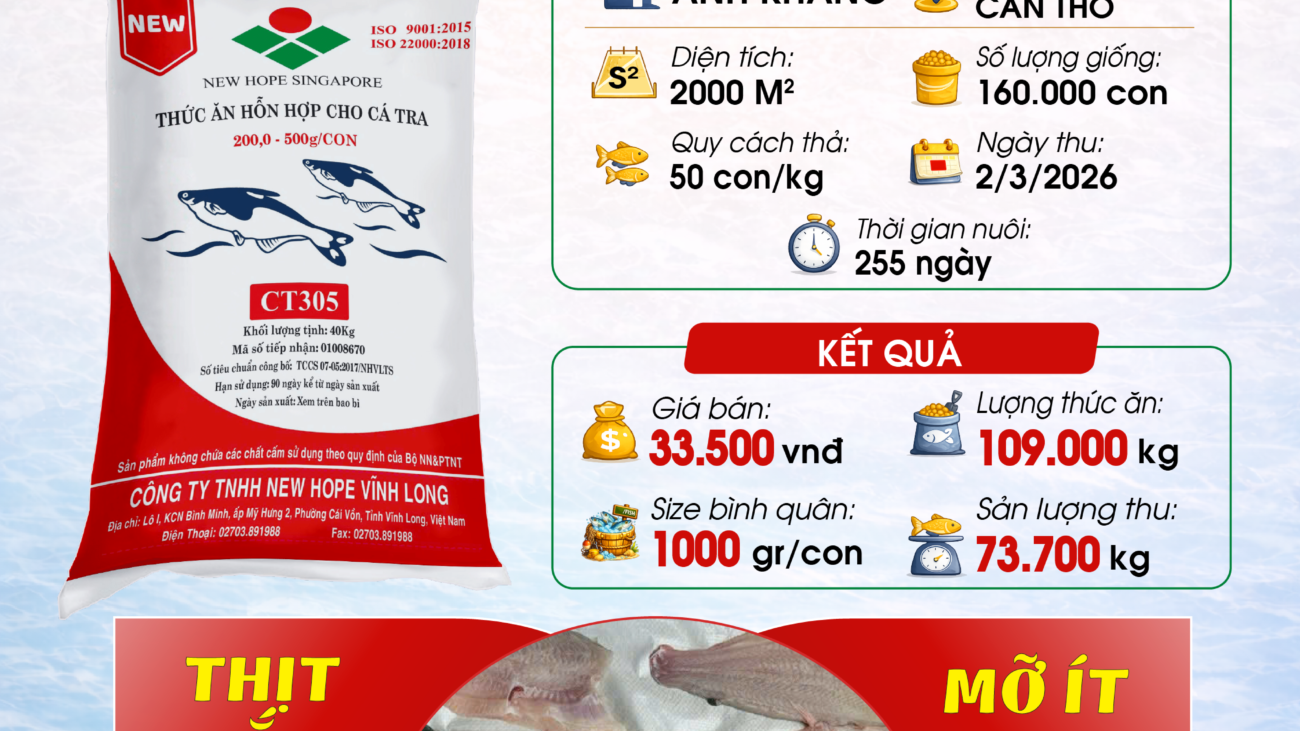 CT305 a Khang-07 (2)