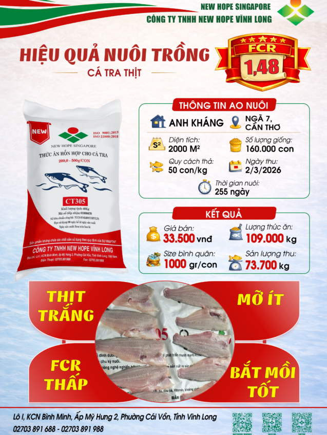 CT305 a Khang-07 (2)