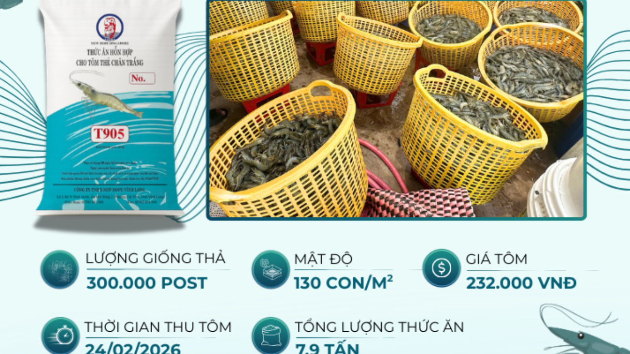 Văn Đức - Đông Hải Bạc Liêu - HQNT