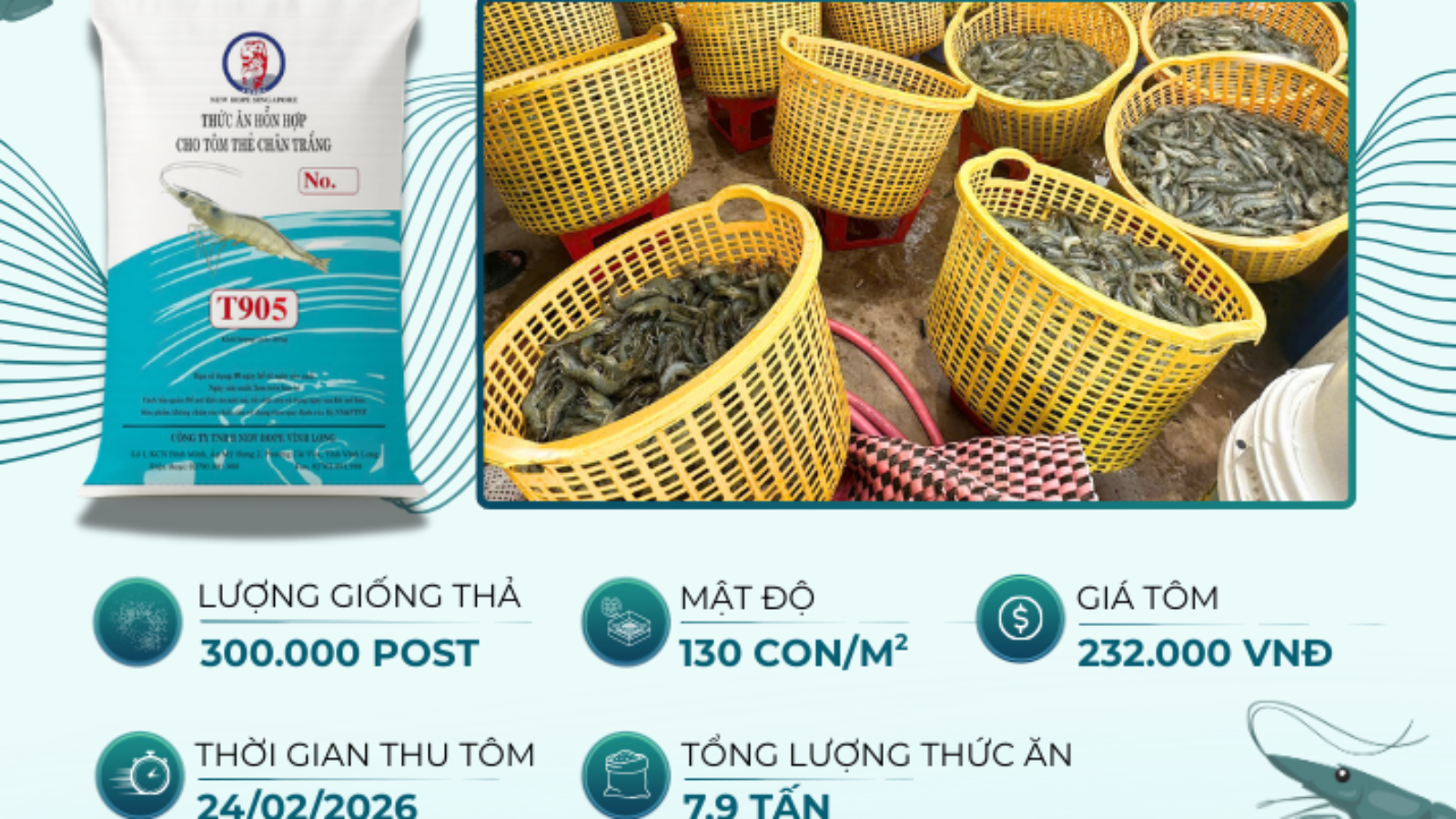 Văn Đức - Đông Hải Bạc Liêu - HQNT