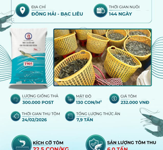 Văn Đức - Đông Hải Bạc Liêu - HQNT
